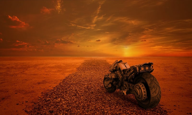 Post-Apocalyptic Survival